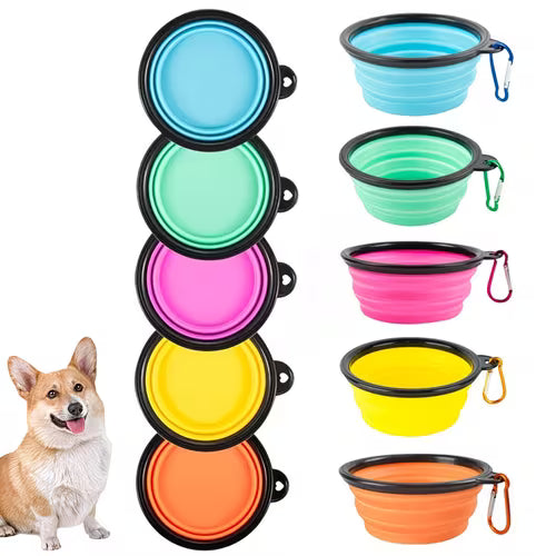 Portable Doggie Bowl — Take It on the Go!