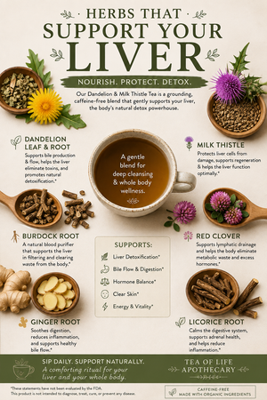 An informational infographic poster titled 'HERBS THAT SUPPORT YOUR LIVER' featuring illustrations and photos of various herbal ingredients like dandelion, milk thistle, burdock root, ginger, red clover, and licorice root, arranged around a central cup illustration. The design uses a warm beige background with green, brown, and purple accents.