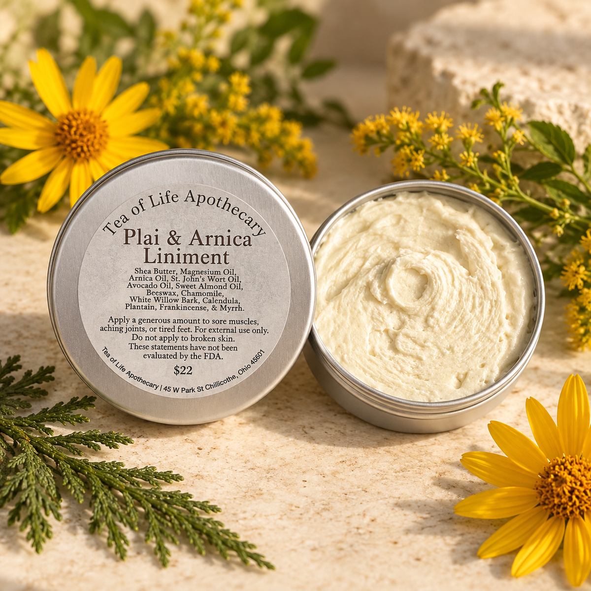 Tea of Life Apothecary Plai & Arnica Liniment in a two-ounce tin, displayed open to show its rich, creamy texture with arnica flowers, goldenrod, and botanical accents.