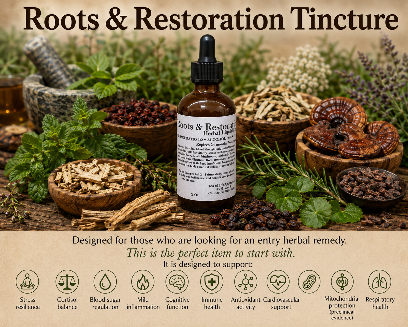Roots & Restorationâ„¢ Herbal Tincture by Tea of Life Apothecary surrounded by Tulsi, Astragalus root, Reishi mushroom, Schisandra berries, Hawthorn berries, Gotu Kola, Rosemary, Eleuthero root, and Cacao. A daily adaptogenic botanical blend formulated to support healthy circulation, cellular vitality, stress resilience, immune function, antioxidant activity, cognitive wellness, cardiovascular health, respiratory health, and whole-body wellness.