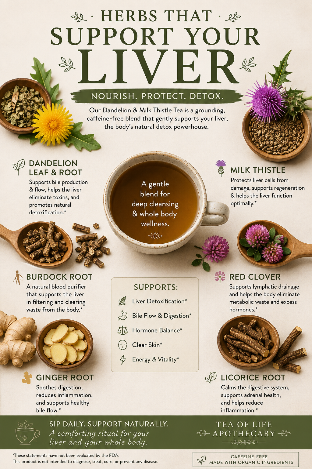 An informational infographic poster titled 'HERBS THAT SUPPORT YOUR LIVER' featuring illustrations and photos of various herbal ingredients like dandelion, milk thistle, burdock root, ginger, red clover, and licorice root, arranged around a central cup illustration. The design uses a warm beige background with green, brown, and purple accents.