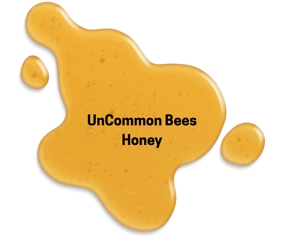 Uncommon Bees Honey